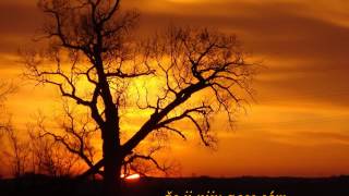 Spirála - Vzpomínky