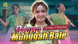 Download lagu INTAN CHACHA - KERE MUNGGAH BALE Aku eling mbiyen pancen dodol sego kucing mp3