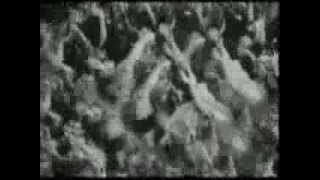 "Anything Goes" by The Glee Cast