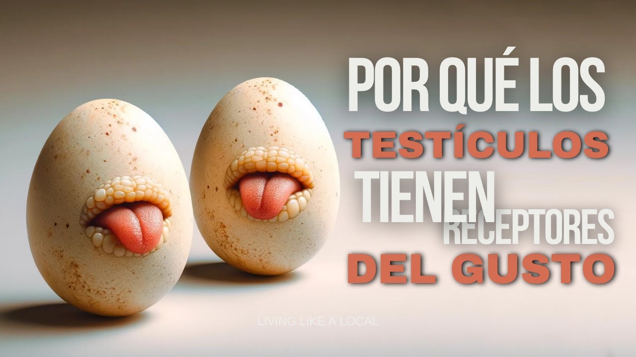 Preguntas Sin Respuesta Sobre el Cuerpo Humano