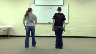 Tush Push Line Dance Instruction Part 1
