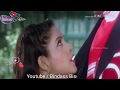 Old Hindi WhatsApp Status Mein Phoolon Ki Rani