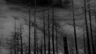Walknut - Grim Woods