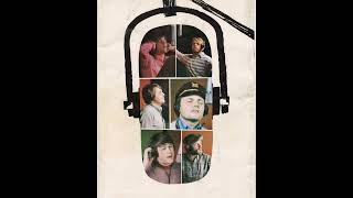 #PetSounds Pet Sounds Anniversary