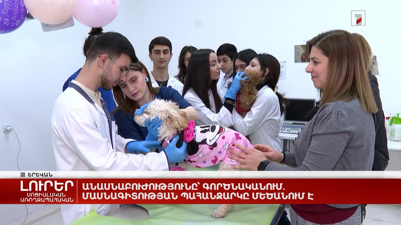 Անասնաբուժությունը՝ գործնականում․ մասնագիտության պահանջարկը մեծանում է