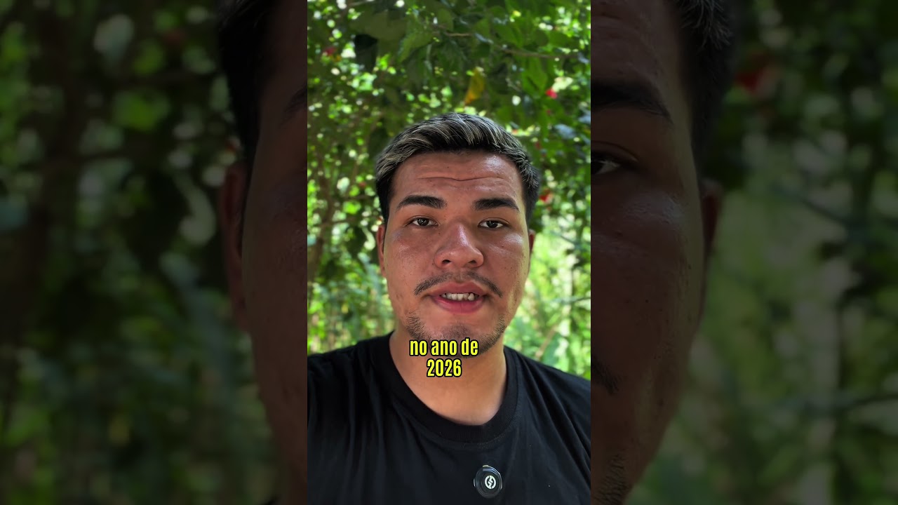 Queimadas na Amazônia afetam o bem viver nos territórios indígenas