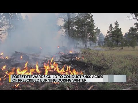Forest Stewards Guild to conduct prescribed burns in northern New Mexico