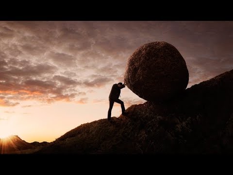 Parashat Tazria - What is your effort worth? - Rabbi Alon Anava