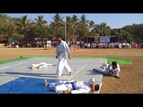 Karate Demo