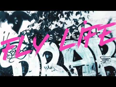 FLY'LIFE - NEXON(Plux696 feat.uziNET100gramm)