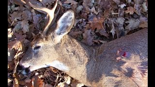 preview picture of video 'Whitetail Bow Kill'