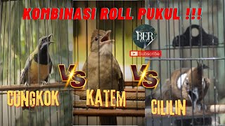 Download lagu CUCAK CUNGKOK KAPAS TEMBAK CILILIN MASTERAN KOMBINASI ROLL PUKUL #masteranjernih #masteranmuraibatu mp3