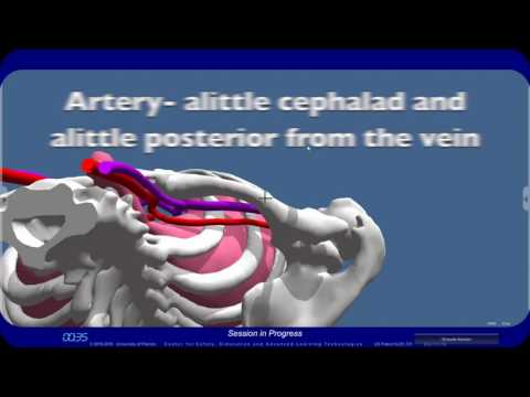 Central Vascular Access Anatomy of the Subclavian