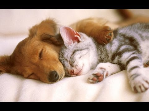 ☆ Večerníček - Karel Černoch ☆ [HD]