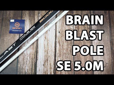  Махове вудилище Brain Blast Pole SE 5.0m, (телескопічне, без кілець) + чохол