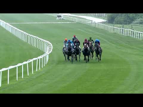 2019.05.05. 04. futam - BÁBOLNAI DÍJ (Elit kat.)