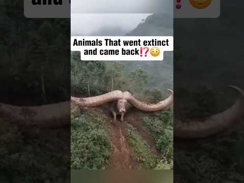 😳Animals That Came Back from Extinction!!(part 1)