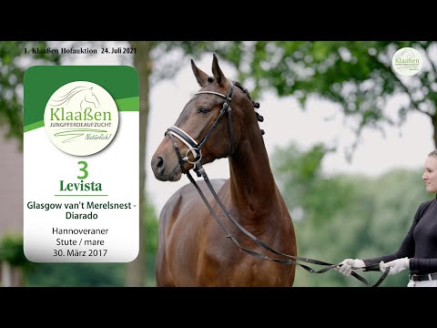 Hofauktion Klaaßen Katalog-Nr. 3 Levista Stute v. Glaskow van't Merelsnest -   Diarado