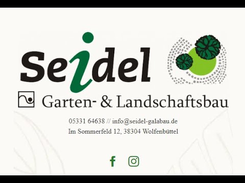 13.08.2023, SV Halchter - FC Viktoria Thiede 4:1 (2:1), Kreispokal 1. Runde