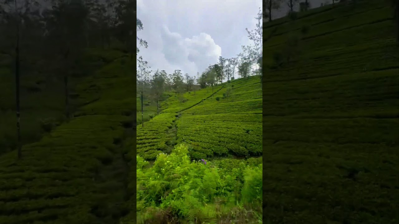 YouTube Short thumbnail