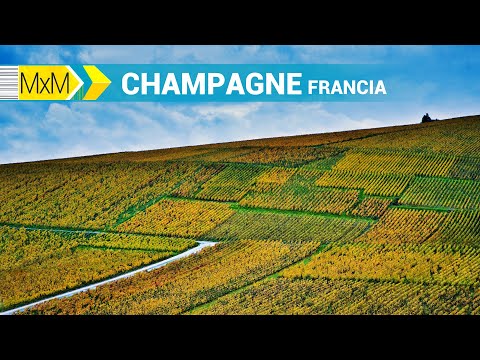 Madrileños por el mundo: Champagne (Francia)