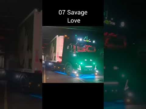 Basuri 2.0 ® Timmy Trumpet, Mission Impossible, Levan polka – 19 melodieën