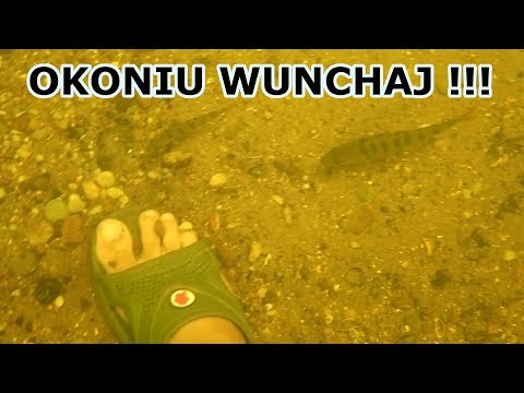 Wykopki, okonie, czołg. Odc.159