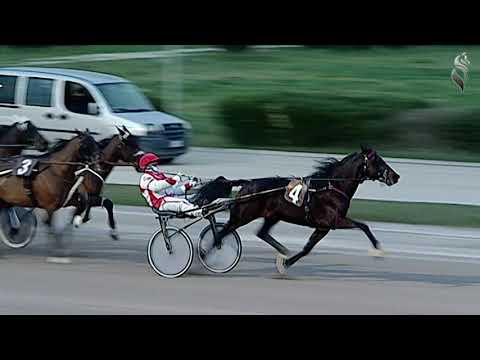 Aversa trotto 27 Gennaio 2021 - 7° Corsa