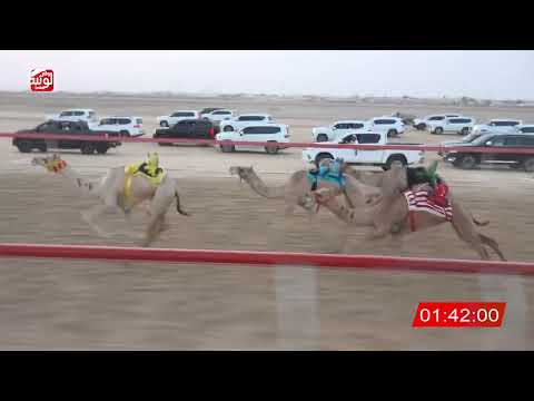  ش 5 (الشاهينيه) لـ محمد بالعوضي المنهالي 3:06:10 ، شارة الصندوق 2026/08/10 فطامين الوثبة