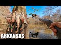 REALISTIC PUBLIC LAND DUCK HUNTING You Won T Believe What Happened
