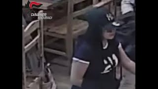 Desio, la banda di ladri s'intrufola in un appartamento in pieno giorno. E poi colpisce nei parch...