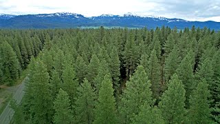 Elo Road Building Parcels - McCall Idaho Real Estate - Unbranded