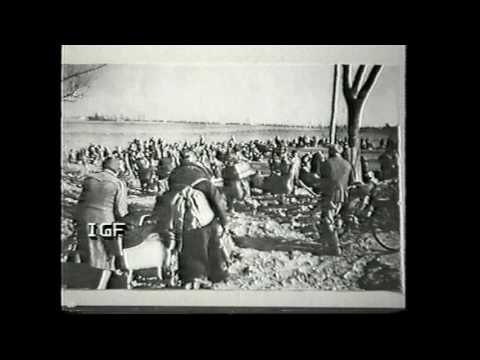 Berlin   13  August 1961 Zeitzeugen erinnern sich 1994