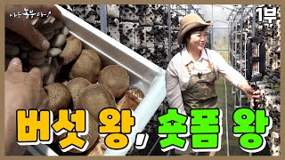 [나는농부다 355회 1부] 남편은 버섯 왕, 아내는 숏폼 왕