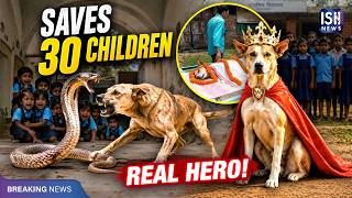 Stray Dog Kali Fights Snake; Saves 30 Children