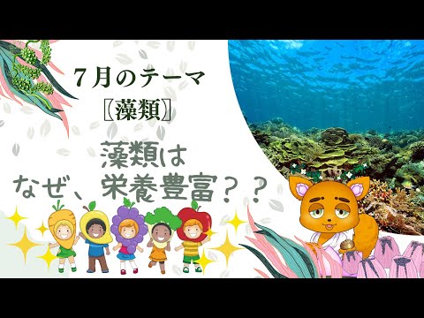藻類について詳しく解説