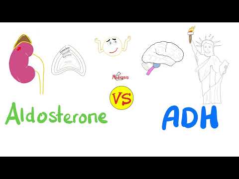 Aldosterone vs Antidiuretic Hormone (ADH) | Kidney Physiology Basics