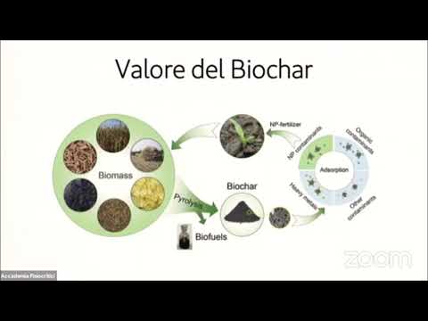 , title : 'Workshop BioDea - Prof. Stefano Loppi (Università di Siena) | 9 Aprile 2021'
