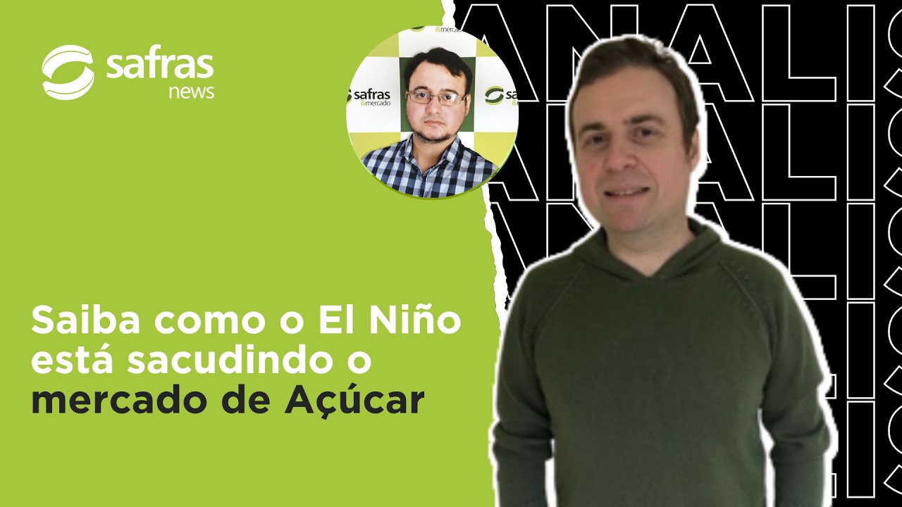 Saiba como o El Niño está sacudindo o mercado de Açúcar