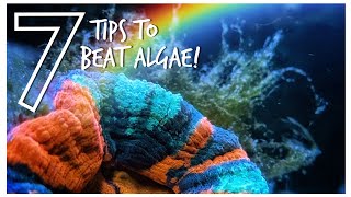 7 Tips to Beat Algae in a Reef Tank