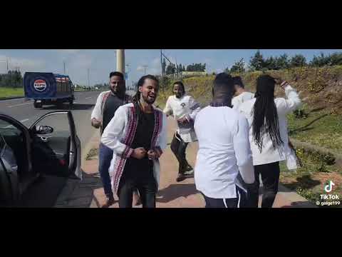 Artistoota oromoo Caalaa daggafaa