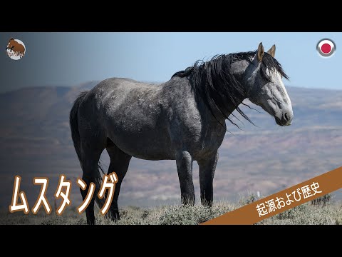 , title : 'マスタング馬, 米国を象徴する野生の馬, 品種の起源'