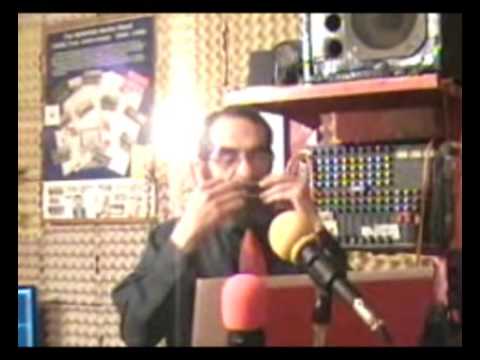 Nelu Stefan - Hituri Romanesti (harmonica)