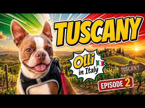 Olli Tours a Winery in Montepulciano