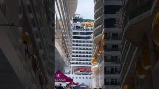 Satisfying video 😱  #cruiseship #yt #ytshorts #travel #viral