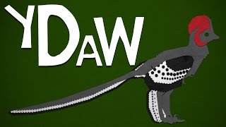 Feathers: Your Dinosaurs Are Wrong #15