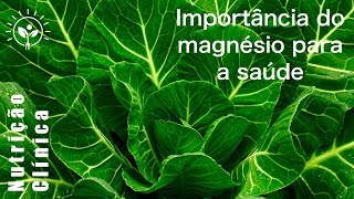 A importância do Magnésio na sua Saúde