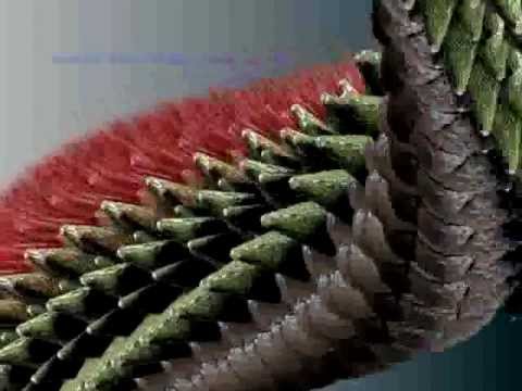 Lange feat. Audrey Gallagher - On Our Way Home