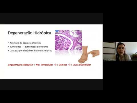 Patologia Geral - aula 4 - Degenerações