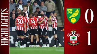 AWAY DAY W | Norwich City 0-1 Southampton | Championship